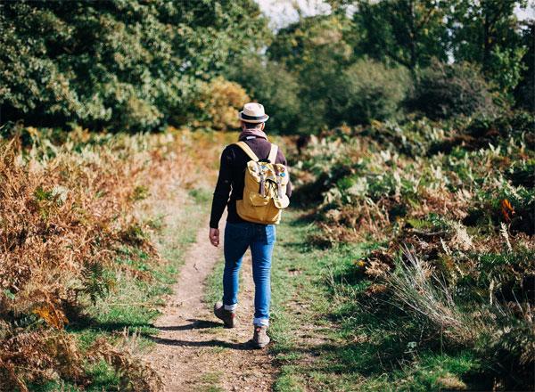 13 Best Waxed Canvas Backpacks and Rucksacks - Territory Supply