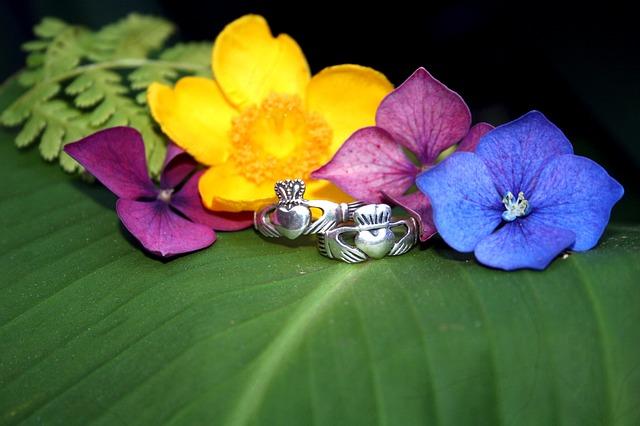 27 Irish Claddagh Rings Stainless Steel and Sterling Silver Collection for Him and Her