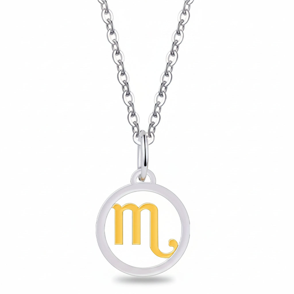 Silver Gold Zodiac Sign 925 Sterling Silver Long Chain Pendant Necklace