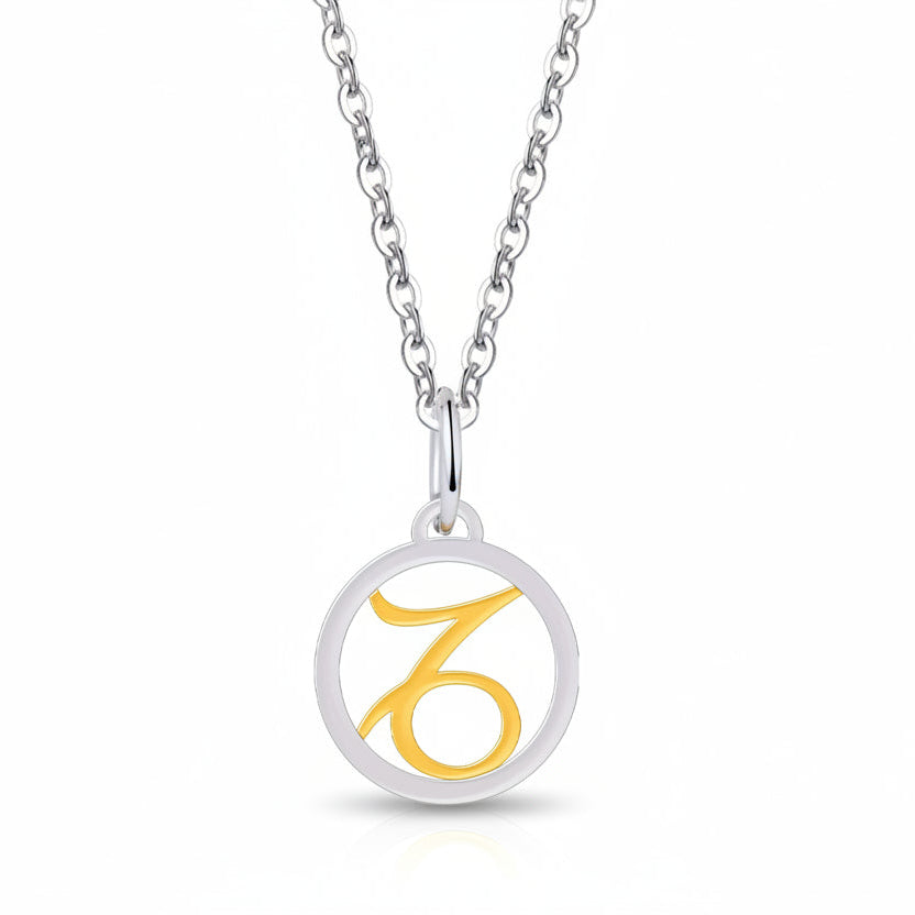 Silver Gold Zodiac Sign 925 Sterling Silver Long Chain Pendant Necklace