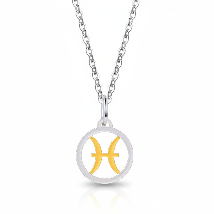 Silver Gold Zodiac Sign 925 Sterling Silver Long Chain Pendant Necklace
