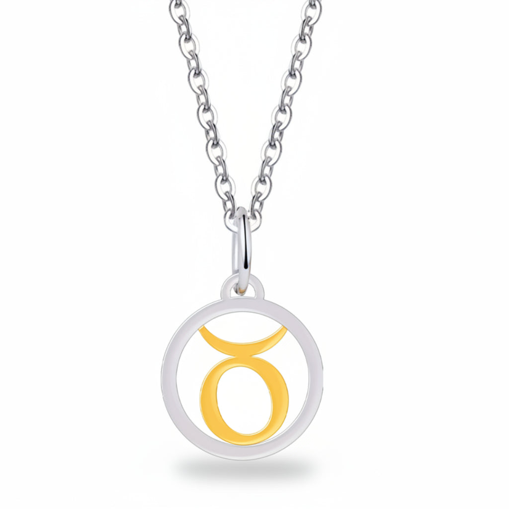 Silver Gold Zodiac Sign 925 Sterling Silver Long Chain Pendant Necklace