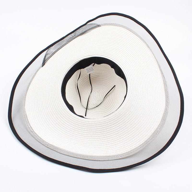 Extra Large Wide Brim Floppy Straw Sun Hat