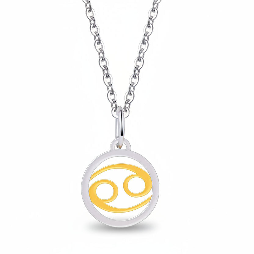 Silver Gold Zodiac Sign 925 Sterling Silver Long Chain Pendant Necklace
