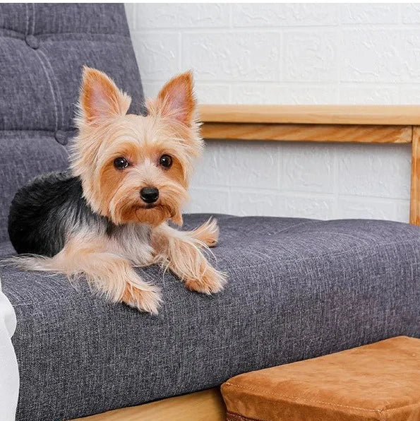 Innovato Design - 3-Step Foldable Pet Dog Stairs with Storage