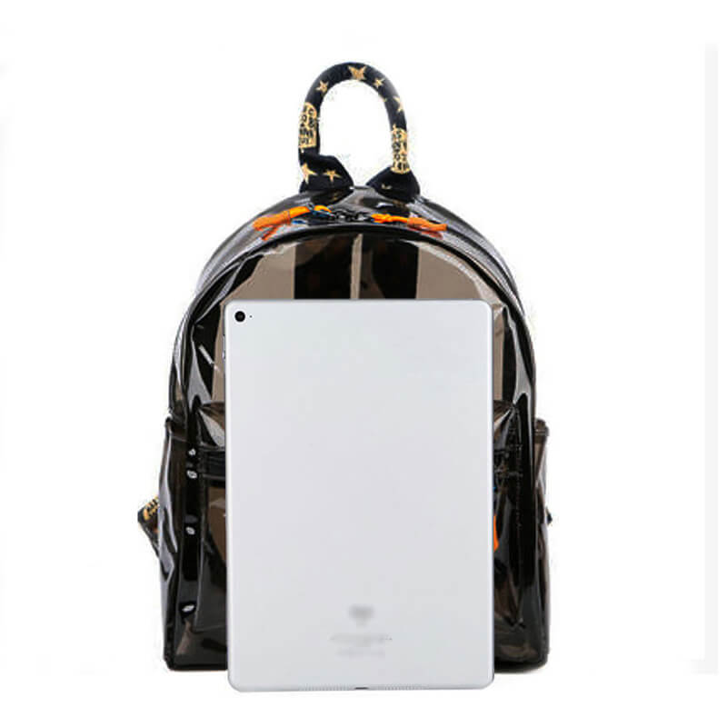 designer white mini backpack purse Cute Clear Mini Backpack Transparent Bookbag PVC for Women, Pink