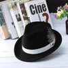 Black European Style Curved Brim Wool Felt Fedora Trilby Hat with Feathers on White Hatband