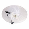 Floppy Wide Brim Sun Hat with Feather and Veil
