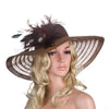Floppy Wide Brim Sun Hat with Feather and Veil